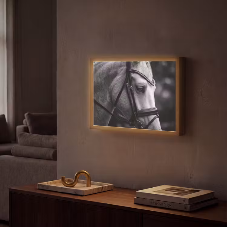 Paard - Schimmel - Portret Light Box met batterij (Wandlamp) middel -sfeer1