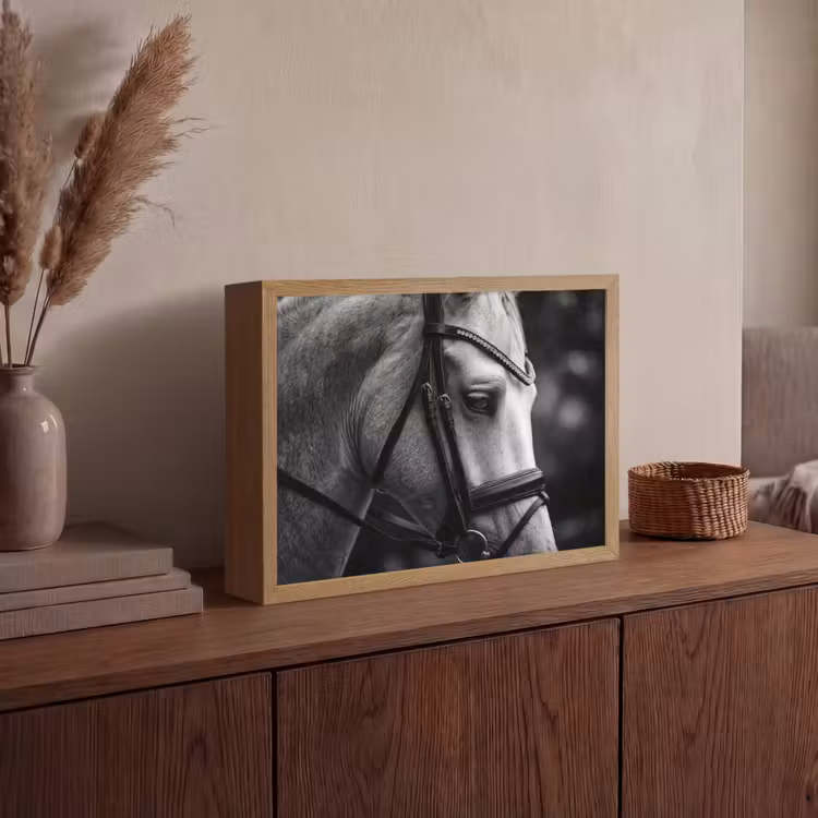Paard - Schimmel - Portret Light Box met batterij (Wandlamp) middel -sfeer2