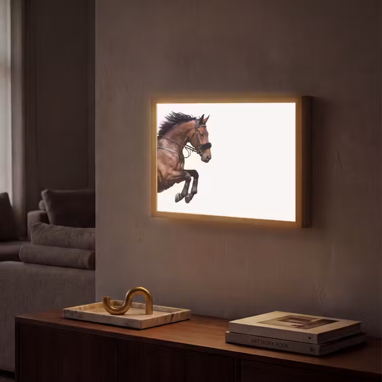 Paard - Springen - Modern Light Box met batterij (Wandlamp) middel -sfeer1