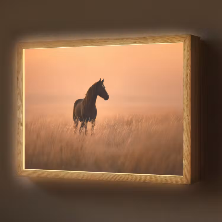 Paard - Grasveld - Zonsondergang Light Box met batterij (Wandlamp) middel -z3d_website