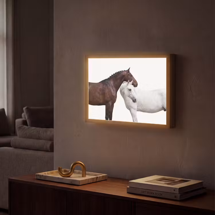 Paard - Modern - Balans Light Box met batterij (Wandlamp) middel -sfeer1