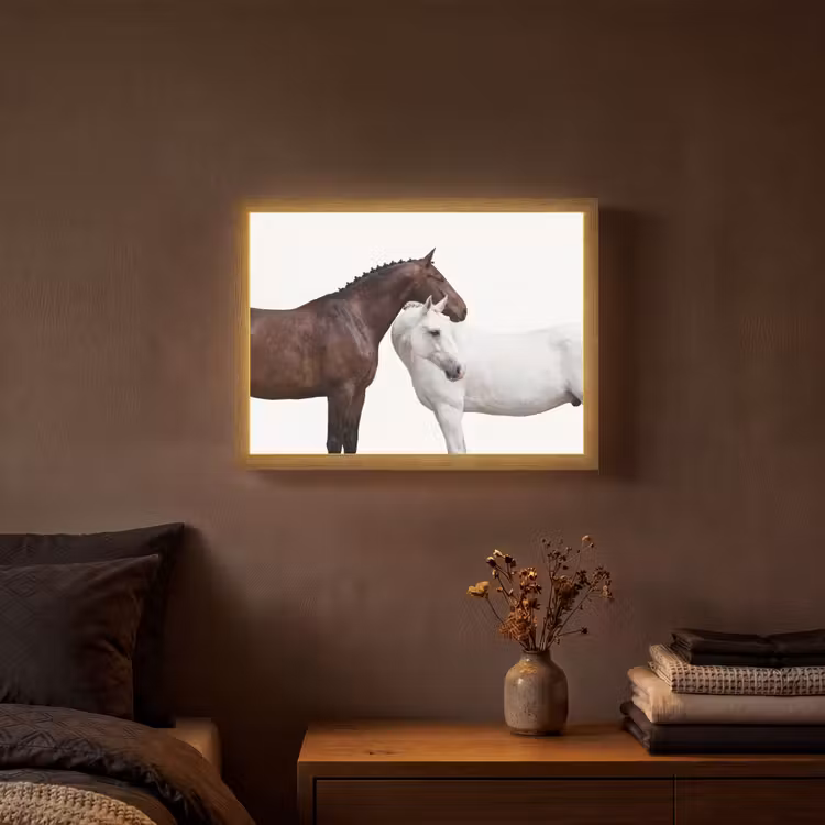 Paard - Modern - Balans Light Box met batterij (Wandlamp) middel -sfeer4