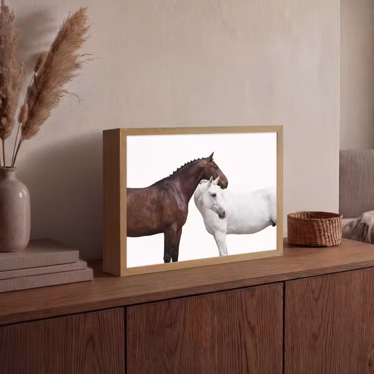 Paard - Modern - Balans Light Box met batterij (Wandlamp) middel -sfeer2