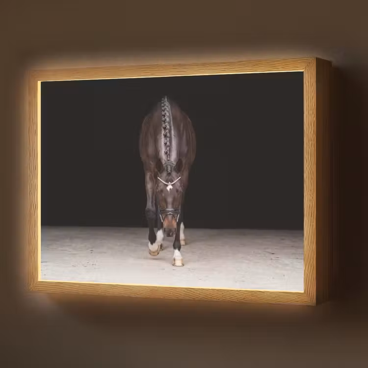 Paard - Modern - Portret Light Box met batterij (Wandlamp) middel -z3d_website