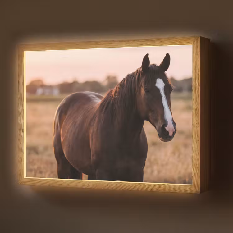 Paard - Zonsondergang - Bruin Light Box met batterij (Wandlamp) middel -z3d_website