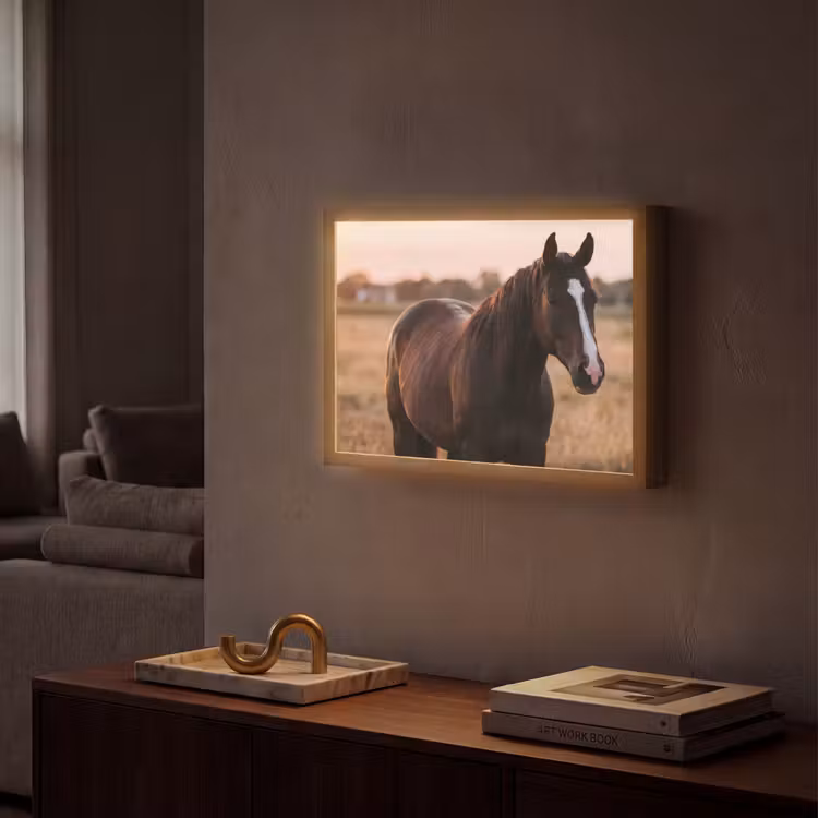 Paard - Zonsondergang - Bruin Light Box met batterij (Wandlamp) middel -sfeer1