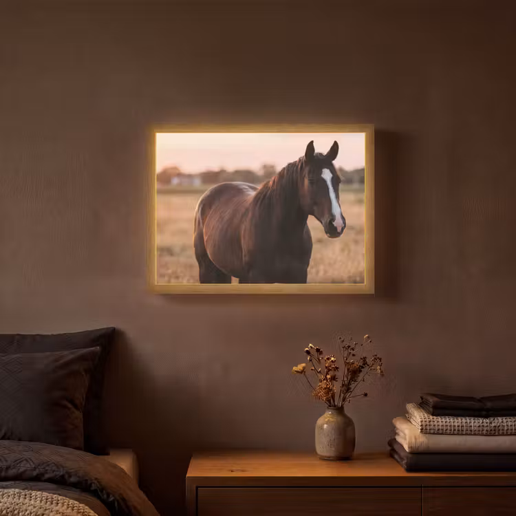 Paard - Zonsondergang - Bruin Light Box met batterij (Wandlamp) middel -sfeer4