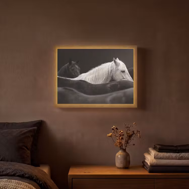 Paarden - Zwart - Wit - Kudde Light Box met batterij (Wandlamp) middel -sfeer4