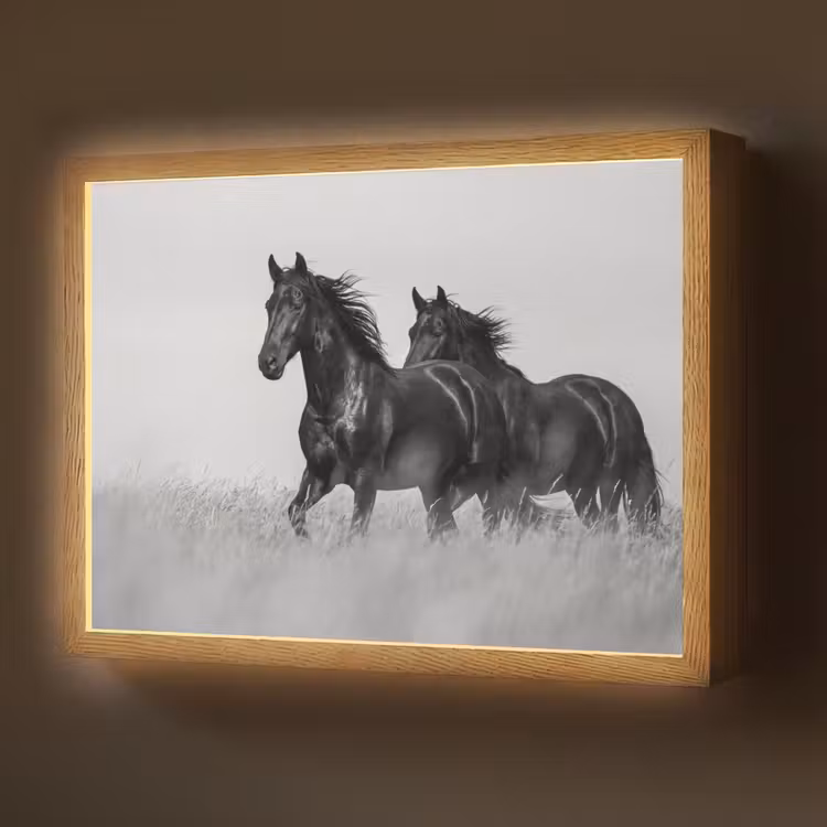 Paarden - Gras - Zwart - Wit Light Box met batterij (Wandlamp) middel -z3d_website