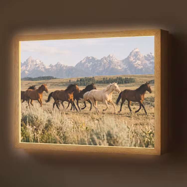 Paarden - Kudde - Bergen - Vrijheid - Wild Light Box met batterij (Wandlamp) middel -z3d_website