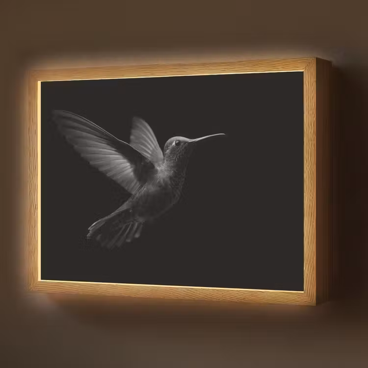 Kolibrie - Zwart - Dieren Light Box met batterij (Wandlamp) middel -z3d_website