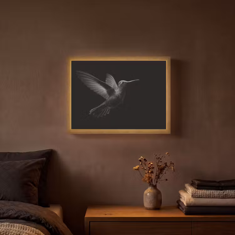 Kolibrie - Zwart - Dieren Light Box met batterij (Wandlamp) middel -sfeer4