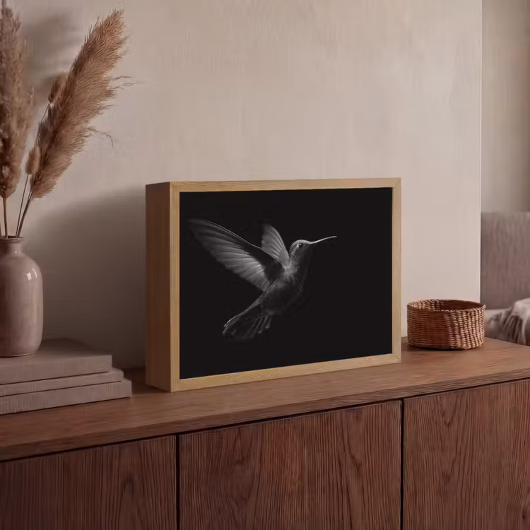 Kolibrie - Zwart - Dieren Light Box met batterij (Wandlamp) middel -sfeer2