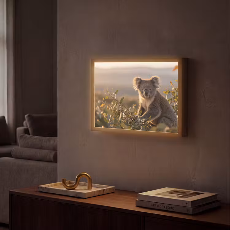 Koala - Bladeren - Ochtendlicht Light Box met batterij (Wandlamp) middel -sfeer1