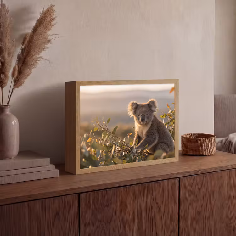 Koala - Bladeren - Ochtendlicht Light Box met batterij (Wandlamp) middel -sfeer2