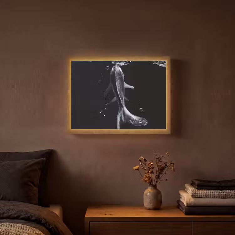 Koi - Vissen - Water - Zwart Light Box met batterij (Wandlamp) middel -sfeer4