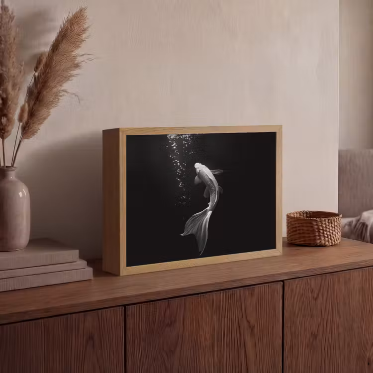 Koi - Vis - Wit - Zwart Light Box met batterij (Wandlamp) middel -sfeer2