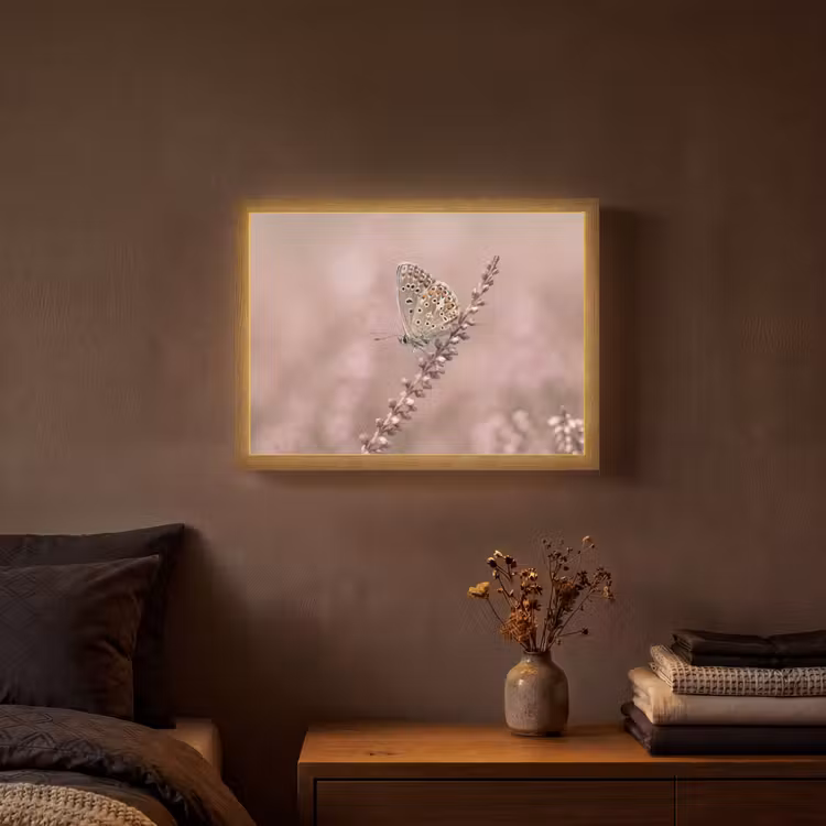 Lavendel - Vlinder - Paars Light Box met batterij (Wandlamp) middel -sfeer4