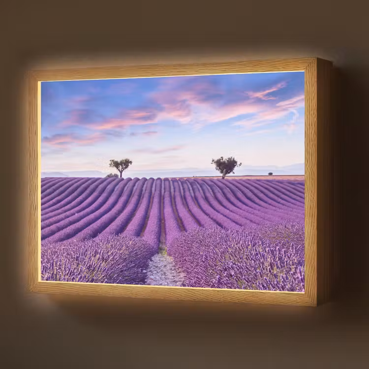 Lavendel - Natuur - Paars - Bomen - Bloemen Light Box met batterij (Wandlamp) middel -z3d_website
