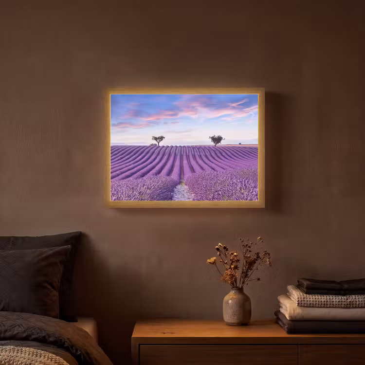 Lavendel - Natuur - Paars - Bomen - Bloemen Light Box met batterij (Wandlamp) middel -sfeer4