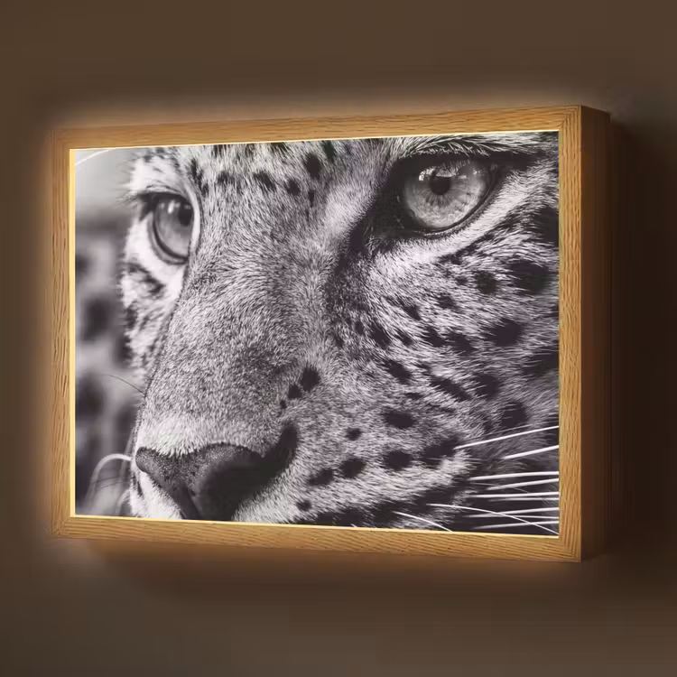 Luipaard - Zwart - Wit - Oog Light Box met batterij (Wandlamp) middel -z3d_website