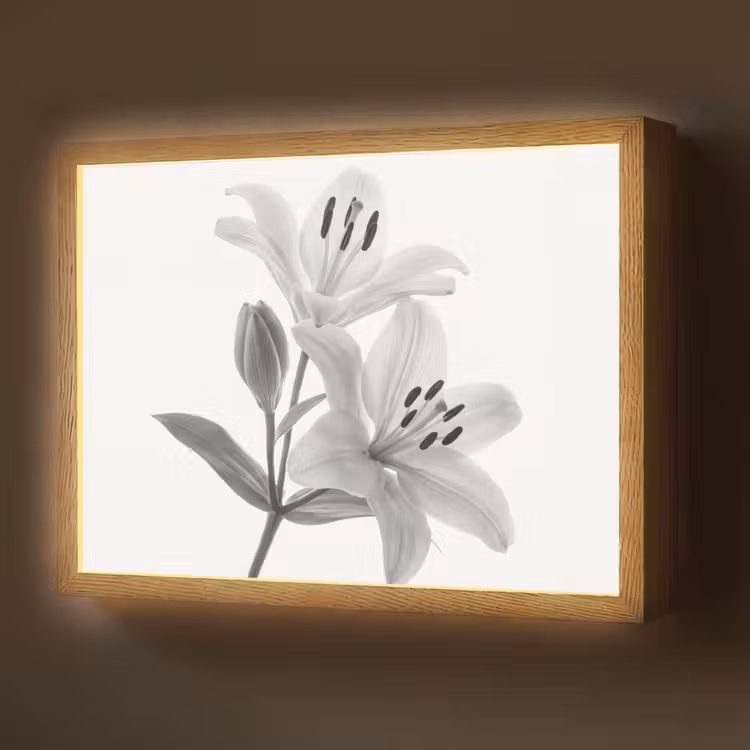Lelies - Elegant - Zwart - Wit Light Box met batterij (Wandlamp) middel -z3d_website