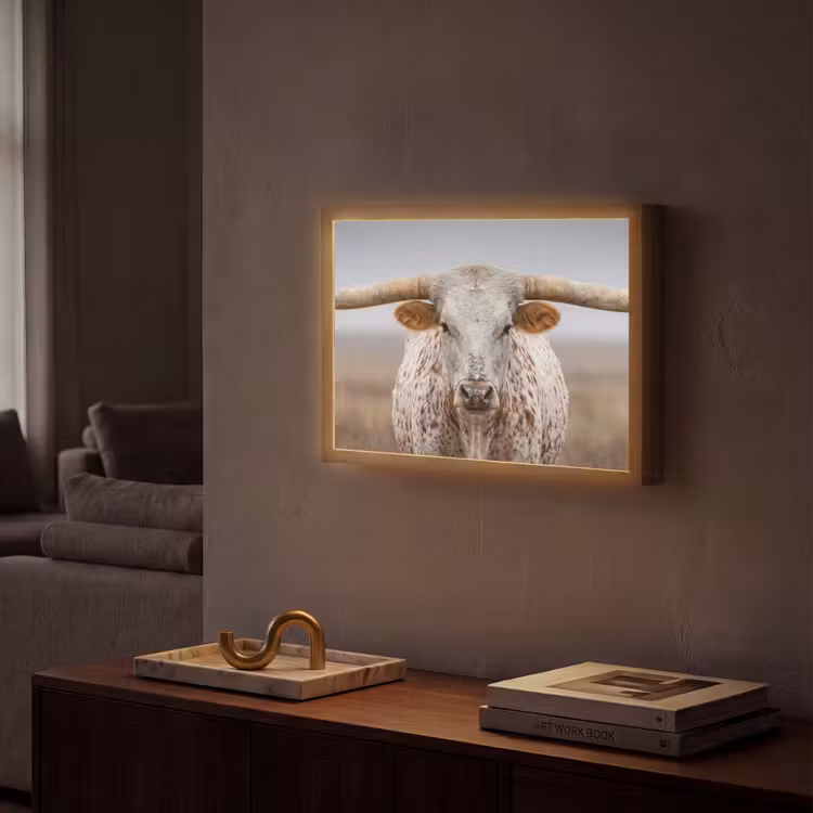 Longhorn - Grasveld - Dier Light Box met batterij (Wandlamp) middel -sfeer1