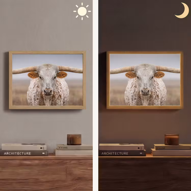 Longhorn - Grasveld - Dier Light Box met batterij (Wandlamp) middel -sfeer3