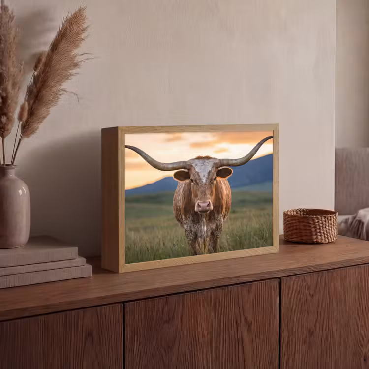 Longhorn - Landschap - Zonsondergang Light Box met batterij (Wandlamp) middel -sfeer2