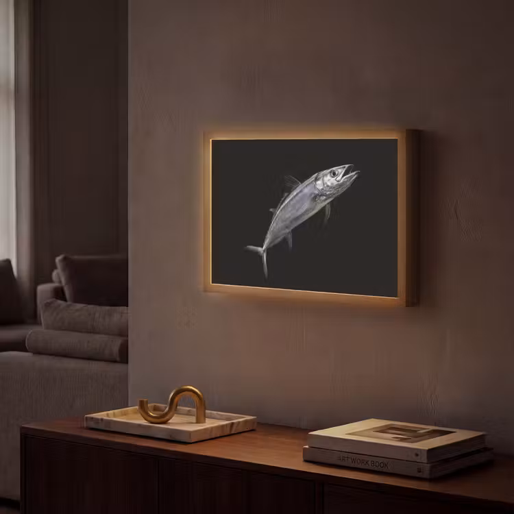 Makreel - Vis - Zwart Light Box met batterij (Wandlamp) middel -sfeer1