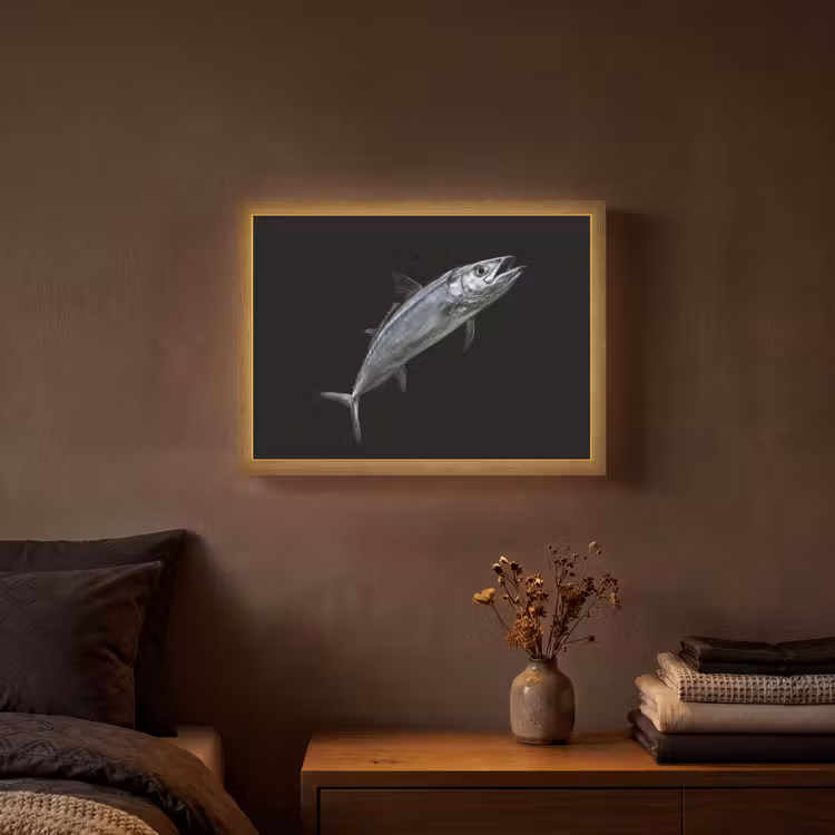 Makreel - Vis - Zwart Light Box met batterij (Wandlamp) middel -sfeer4