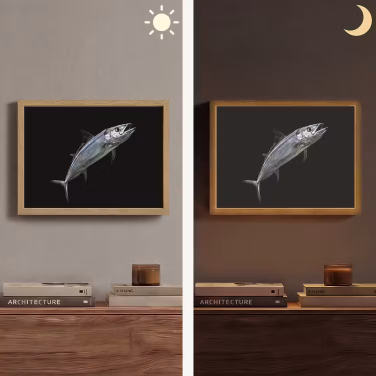 Makreel - Vis - Zwart Light Box met batterij (Wandlamp) middel -sfeer3