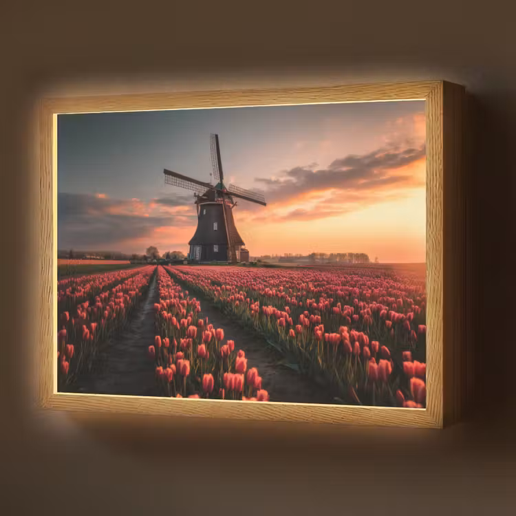 Molen - Zonsondergang - Tulpen - Rood Light Box met batterij (Wandlamp) middel -z3d_website