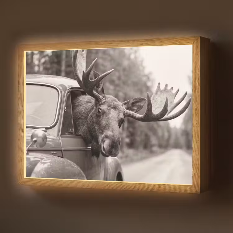 Eland - Auto - Gewei - Zwart - Wit Light Box met batterij (Wandlamp) middel -z3d_website