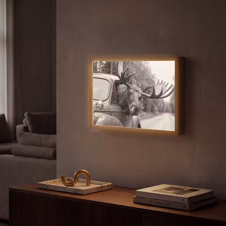Eland - Auto - Gewei - Zwart - Wit Light Box met batterij (Wandlamp) middel -sfeer1