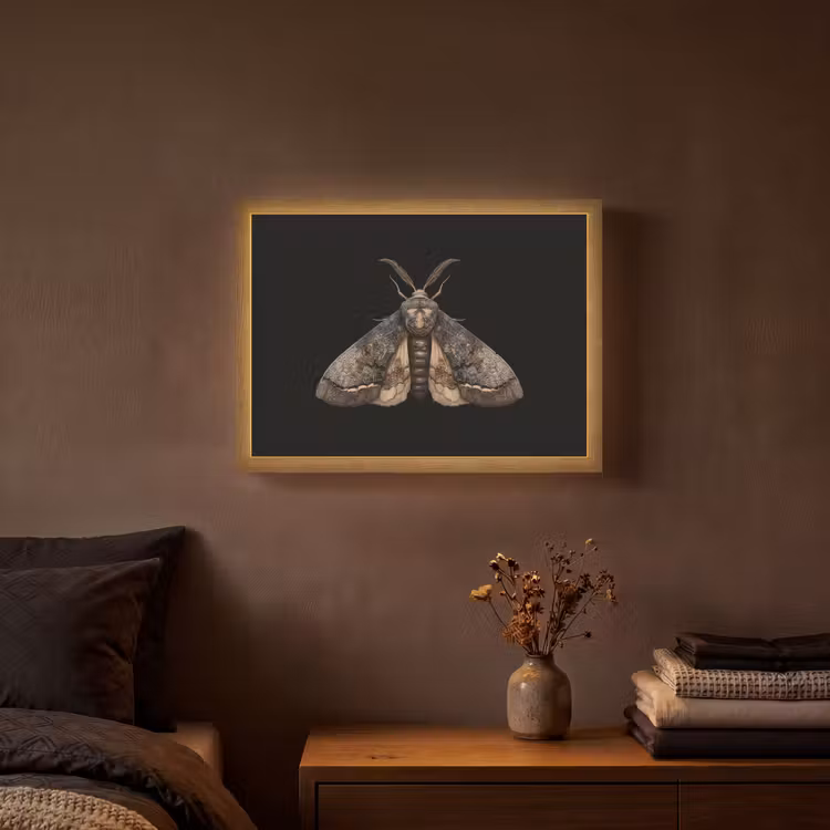 Mot - Bladachtig - Grijs Light Box met batterij (Wandlamp) middel -sfeer4