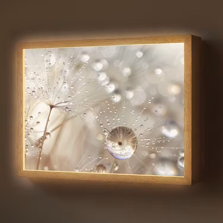 Natuur - Bloemen - Druppels - Regen Light Box met batterij (Wandlamp) middel -z3d_website