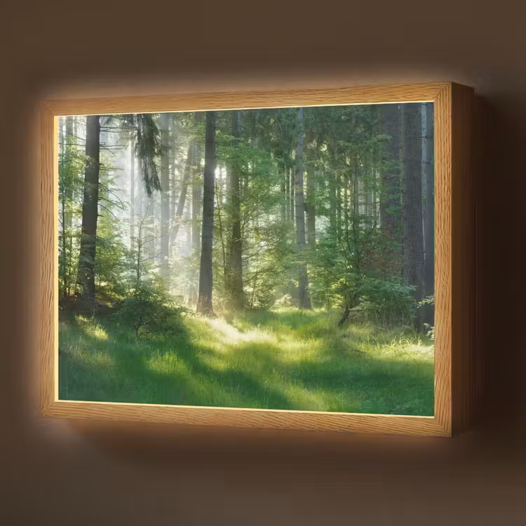 Natuur - Bomen - Bos - Groen - Zon - Gras - Planten Light Box met batterij (Wandlamp) middel -z3d_website
