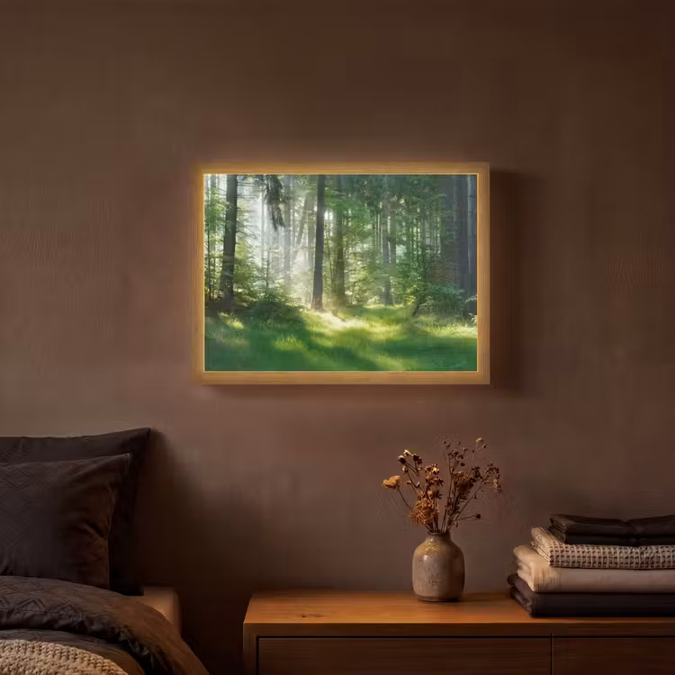 Natuur - Bomen - Bos - Groen - Zon - Gras - Planten Light Box met batterij (Wandlamp) middel -sfeer4