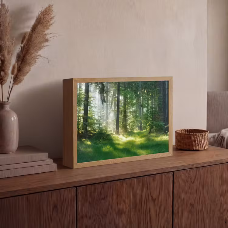Natuur - Bomen - Bos - Groen - Zon - Gras - Planten Light Box met batterij (Wandlamp) middel -sfeer2