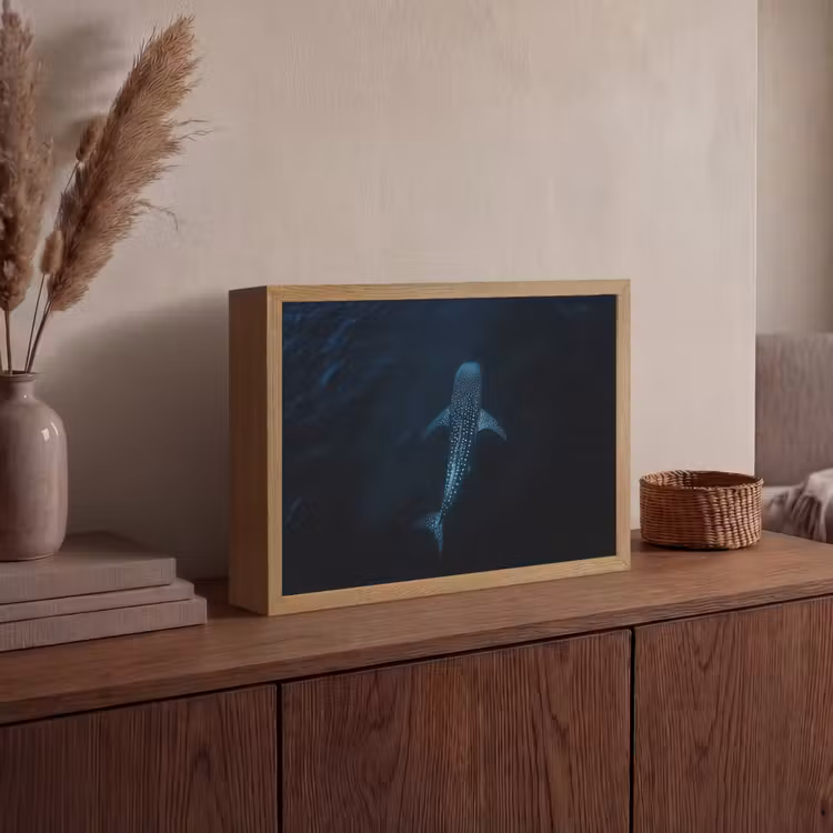 Oceaan - Walvishaai - Donkerblauw - Vlekken Light Box met batterij (Wandlamp) middel -sfeer2