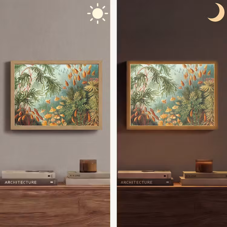 Oude meesters - Kunst - Muscinae - Haeckel Light Box met batterij (Wandlamp) middel -sfeer3