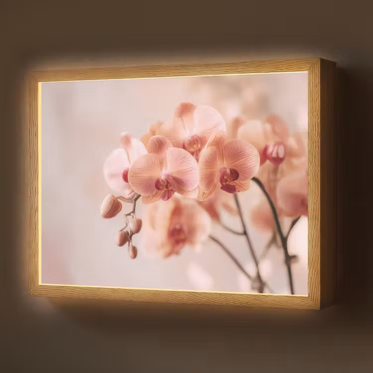Orchidee - Bloemen - Roze - Bloemblaadjes Light Box met batterij (Wandlamp) middel -z3d_website
