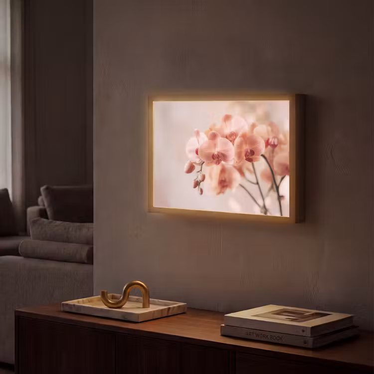 Orchidee - Bloemen - Roze - Bloemblaadjes Light Box met batterij (Wandlamp) middel -sfeer1