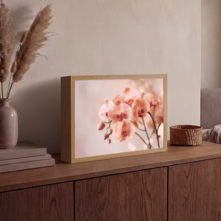 Orchidee - Bloemen - Roze - Bloemblaadjes Light Box met batterij (Wandlamp) middel -sfeer2