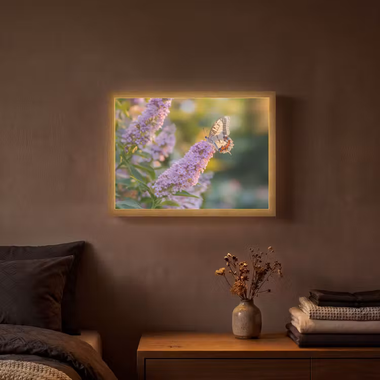 Sierlijke - Vlinder - Paarse - Bloemen Light Box met batterij (Wandlamp) middel -sfeer4