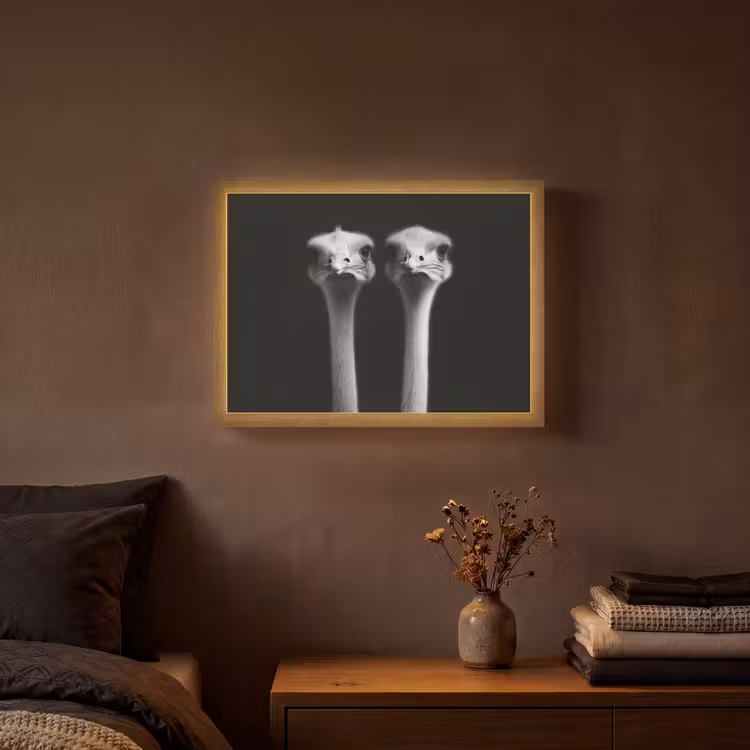 Struisvogels - Halzen - Zwart - Minimalistisch Light Box met batterij (Wandlamp) middel -sfeer4