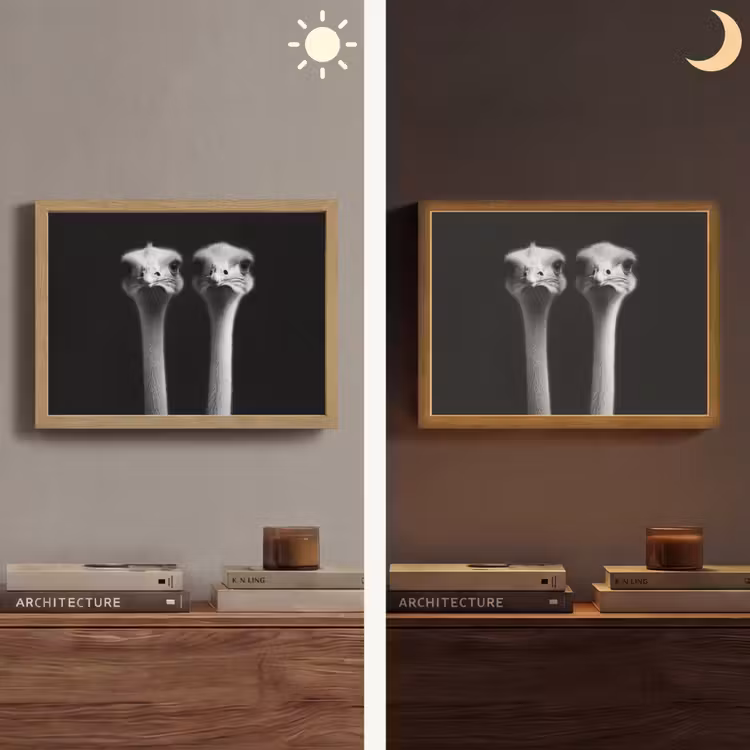 Struisvogels - Halzen - Zwart - Minimalistisch Light Box met batterij (Wandlamp) middel -sfeer3
