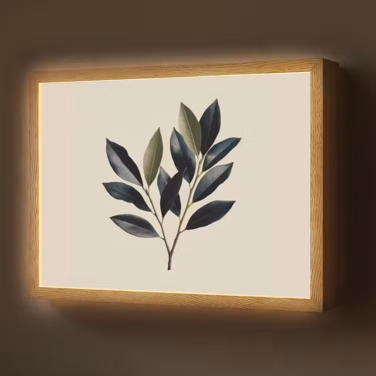 Ovaal - Olijfgroen - Simpel Light Box met batterij (Wandlamp) middel -z3d_website