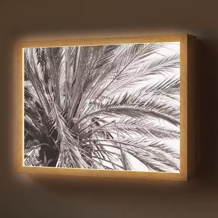 Palmboom - Tropisch - Zwart - Wit Light Box met batterij (Wandlamp) middel -z3d_website